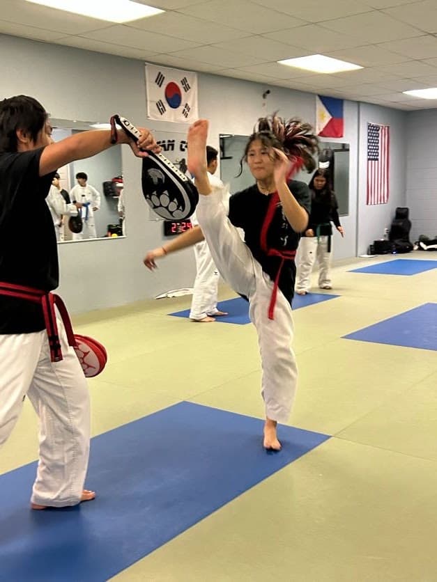 Taekwondo